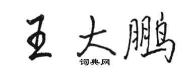 駱恆光王大鵬行書個性簽名怎么寫