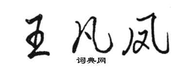 駱恆光王凡鳳行書個性簽名怎么寫
