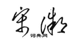 駱恆光宋微草書個性簽名怎么寫