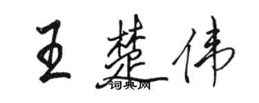 駱恆光王楚偉行書個性簽名怎么寫