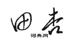 駱恆光田杏草書個性簽名怎么寫