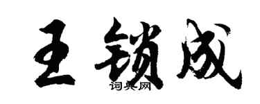 胡問遂王鎖成行書個性簽名怎么寫