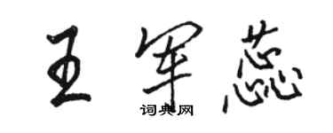 駱恆光王軍蕊行書個性簽名怎么寫