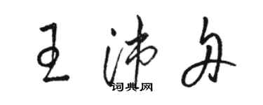 駱恆光王沛舟草書個性簽名怎么寫