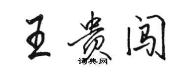 駱恆光王貴闖行書個性簽名怎么寫