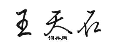 駱恆光王天石行書個性簽名怎么寫