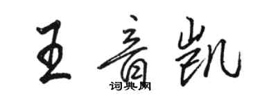 駱恆光王音凱行書個性簽名怎么寫