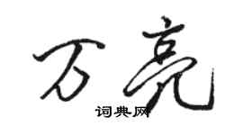 駱恆光萬亮行書個性簽名怎么寫