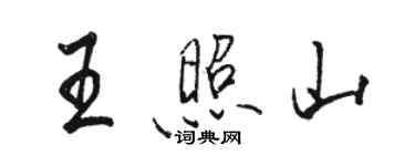 駱恆光王照山行書個性簽名怎么寫