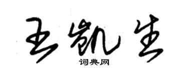 朱錫榮王凱生草書個性簽名怎么寫