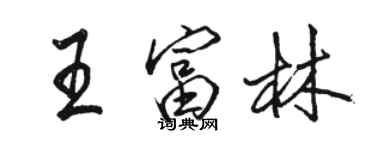 駱恆光王富林行書個性簽名怎么寫