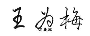 駱恆光王為梅行書個性簽名怎么寫