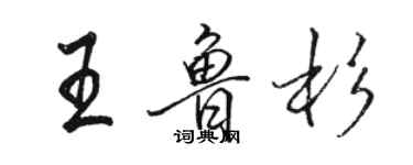 駱恆光王魯杉行書個性簽名怎么寫