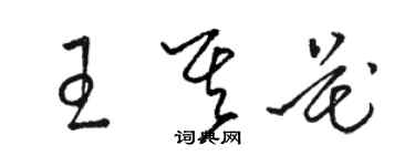 駱恆光王其花草書個性簽名怎么寫