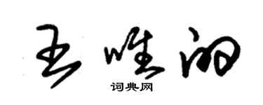 朱錫榮王唯的草書個性簽名怎么寫