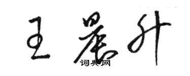 駱恆光王晨升草書個性簽名怎么寫