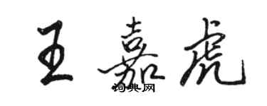 駱恆光王嘉虎行書個性簽名怎么寫