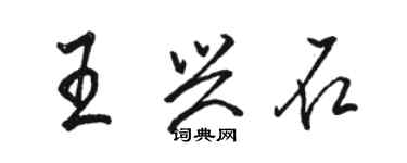 駱恆光王興石行書個性簽名怎么寫