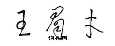 駱恆光王眉才草書個性簽名怎么寫