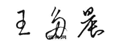 駱恆光王多晨草書個性簽名怎么寫