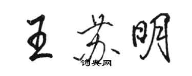 駱恆光王蘇明行書個性簽名怎么寫