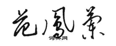 駱恆光范鳳蘭草書個性簽名怎么寫