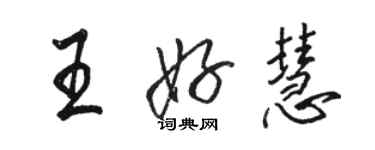 駱恆光王好慧行書個性簽名怎么寫