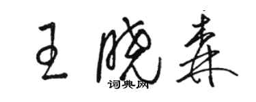 駱恆光王曉森草書個性簽名怎么寫