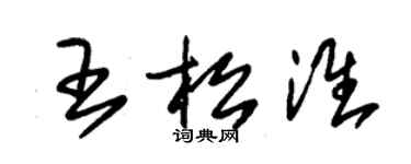 朱錫榮王松淮草書個性簽名怎么寫