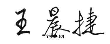 駱恆光王晨捷行書個性簽名怎么寫