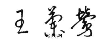 駱恆光王蘭鶯草書個性簽名怎么寫