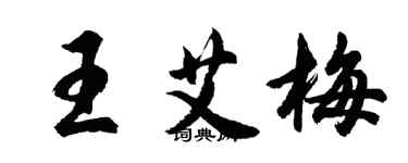 胡問遂王艾梅行書個性簽名怎么寫