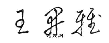 駱恆光王開雅草書個性簽名怎么寫