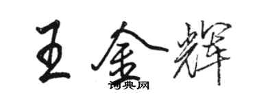 駱恆光王金輝行書個性簽名怎么寫