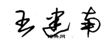 朱錫榮王建南草書個性簽名怎么寫