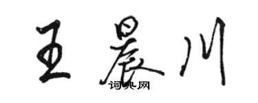 駱恆光王晨川行書個性簽名怎么寫