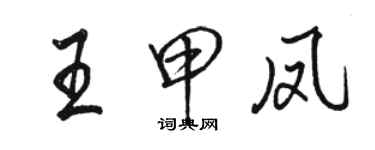 駱恆光王甲鳳行書個性簽名怎么寫