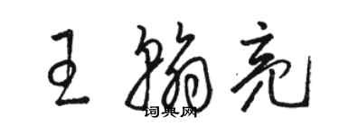 駱恆光王翰亮草書個性簽名怎么寫