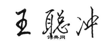 駱恆光王聰沖行書個性簽名怎么寫