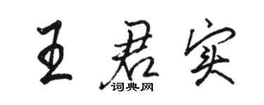 駱恆光王君實行書個性簽名怎么寫
