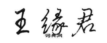 駱恆光王緣君行書個性簽名怎么寫