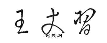 駱恆光王丈習草書個性簽名怎么寫