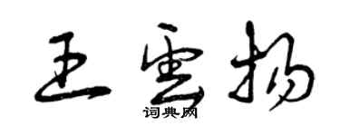 曾慶福王雲揚草書個性簽名怎么寫