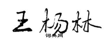 曾慶福王楊林行書個性簽名怎么寫