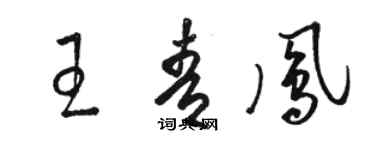 駱恆光王青鳳草書個性簽名怎么寫