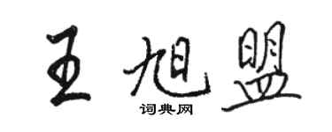 駱恆光王旭盟行書個性簽名怎么寫