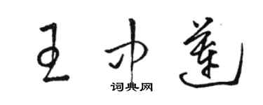 駱恆光王中蓮草書個性簽名怎么寫