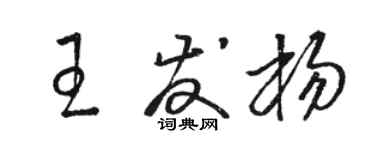 駱恆光王發楊草書個性簽名怎么寫