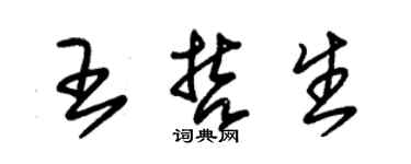 朱錫榮王哲生草書個性簽名怎么寫