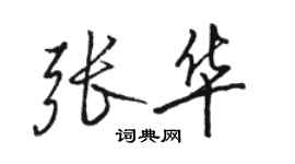 駱恆光張華行書個性簽名怎么寫